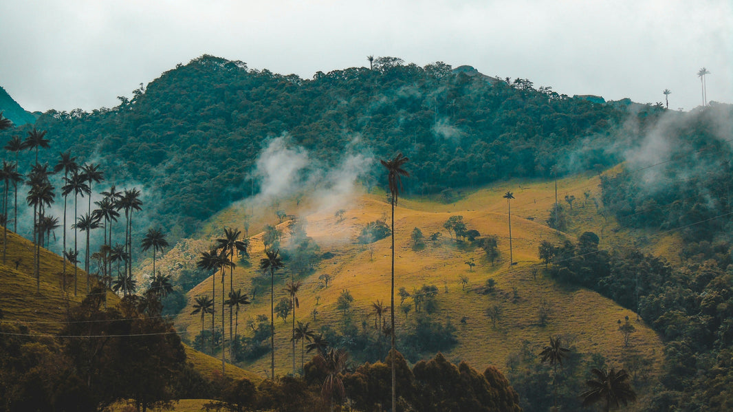 Colombia Country Facts: Geography, Culture & Quick Info