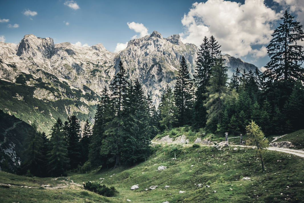 Austria eSIM (2026): Plans, Setup, Coverage & FAQs