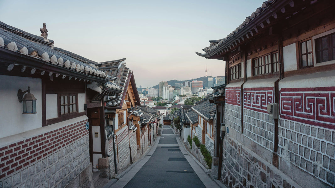 South Korea Digital Nomad Visa: Requirements & How to Apply
