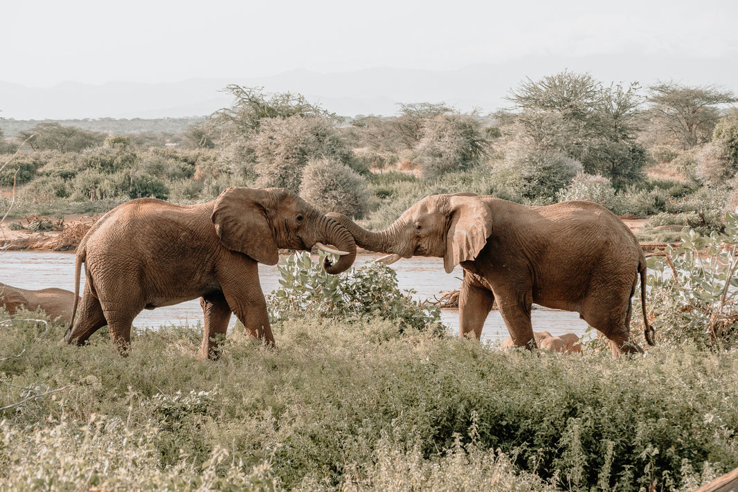 Safest Places to Travel in Africa (Top Picks + Tips)