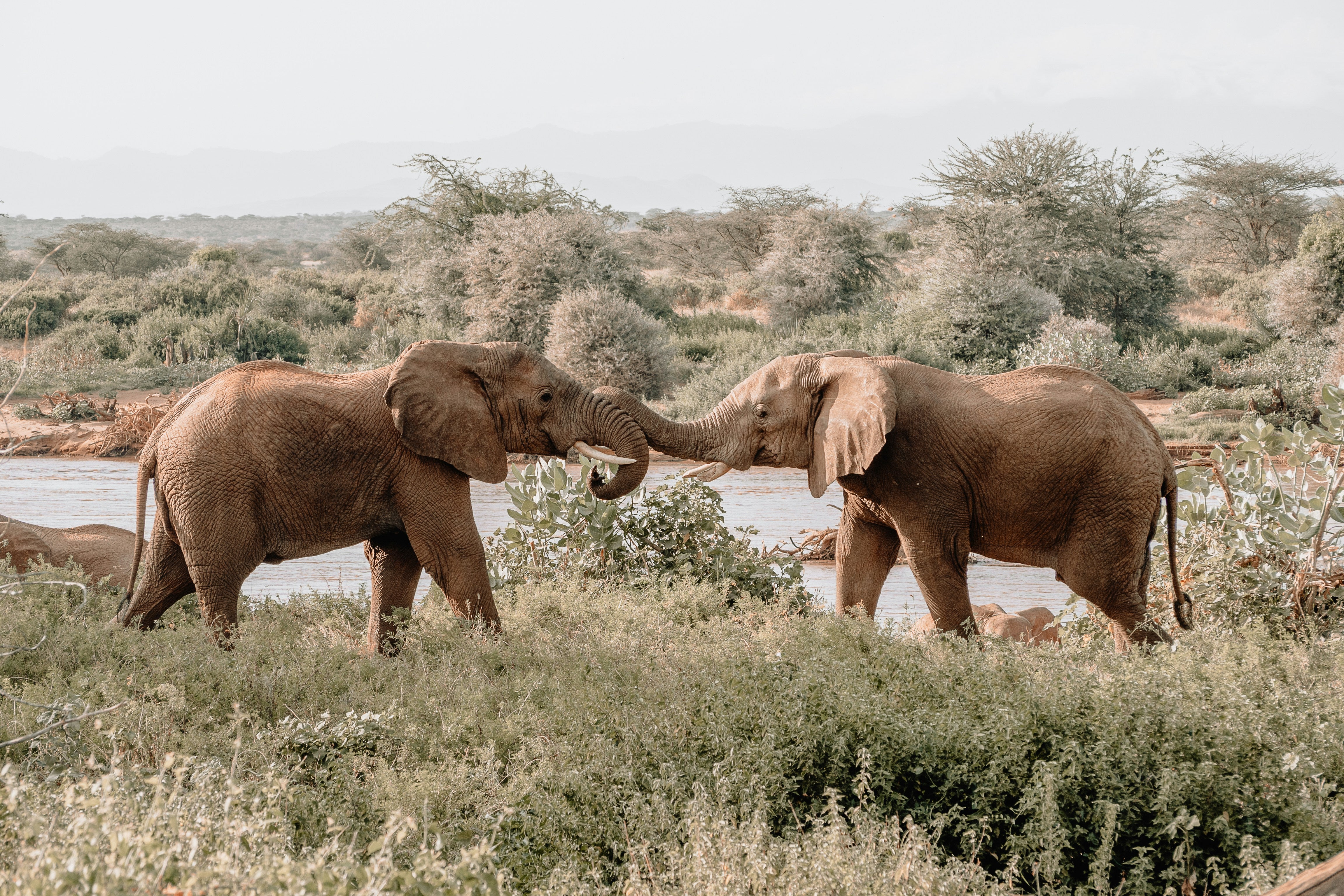 Safest Places to Travel in Africa (Top Picks + Tips)