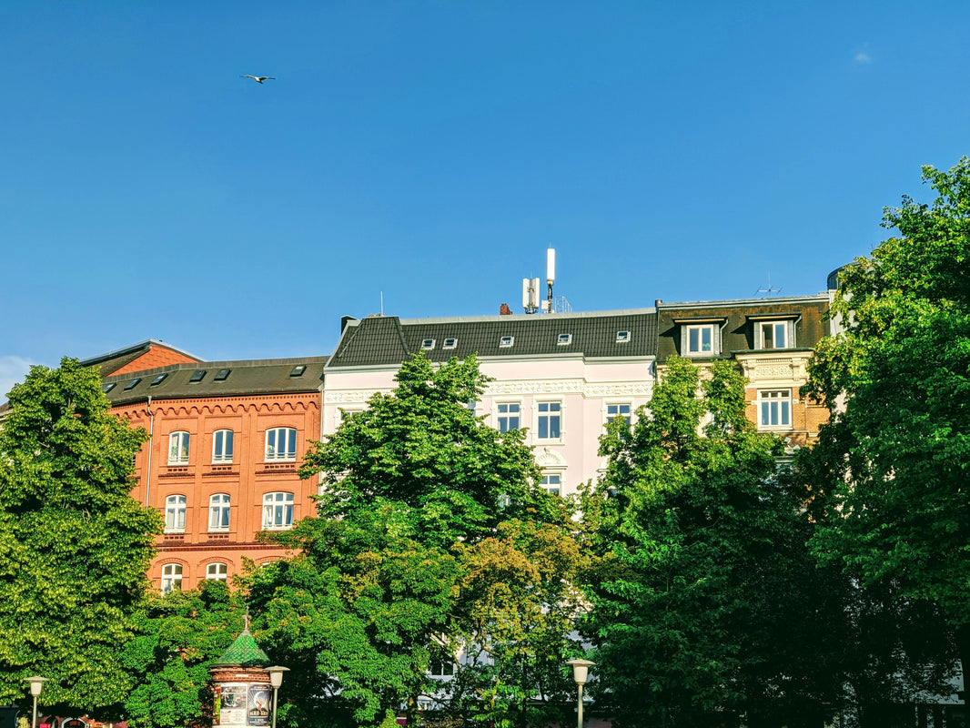 Scholarships for International Students in Germany (Guide)