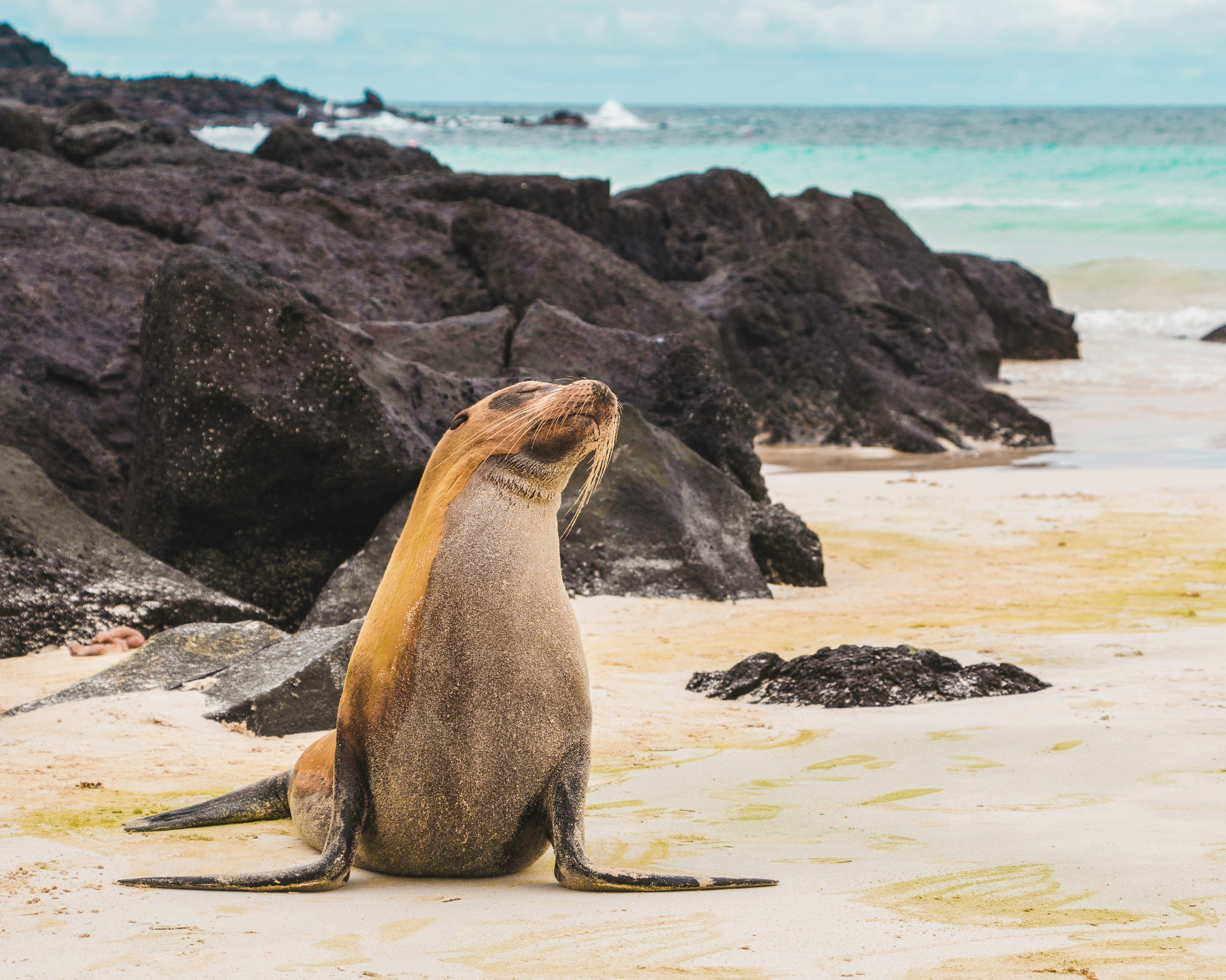 Best Time to Visit Galapagos Islands in 2026