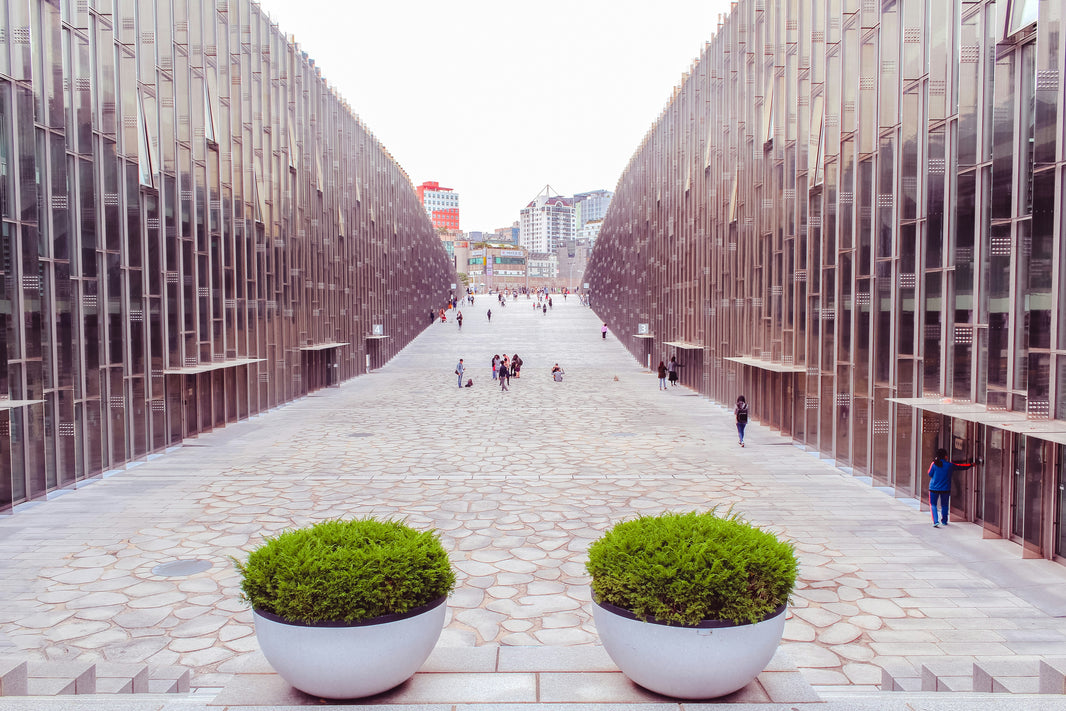 Scholarships in South Korea: Fully Funded Options