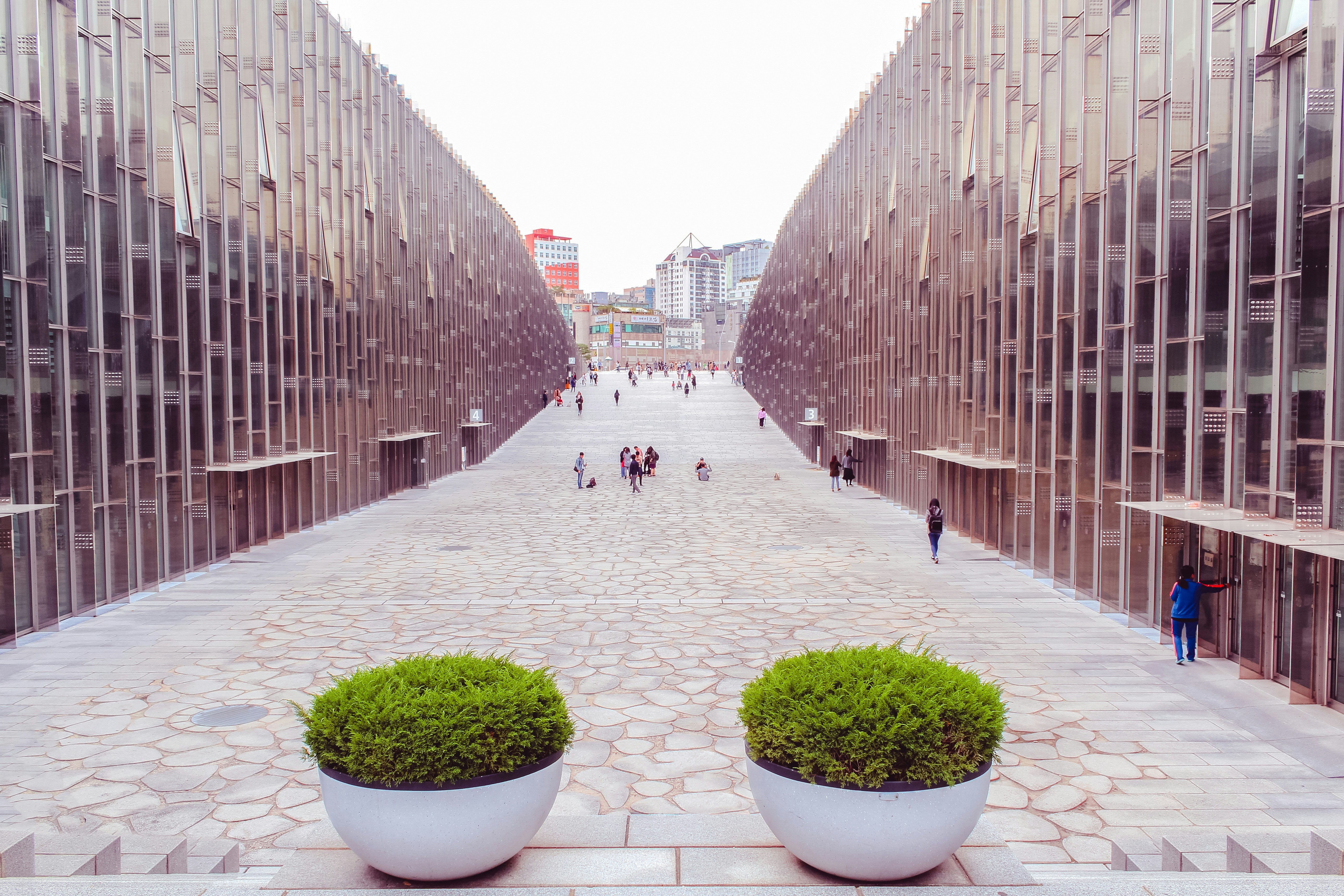 Scholarships in South Korea: Fully Funded Options