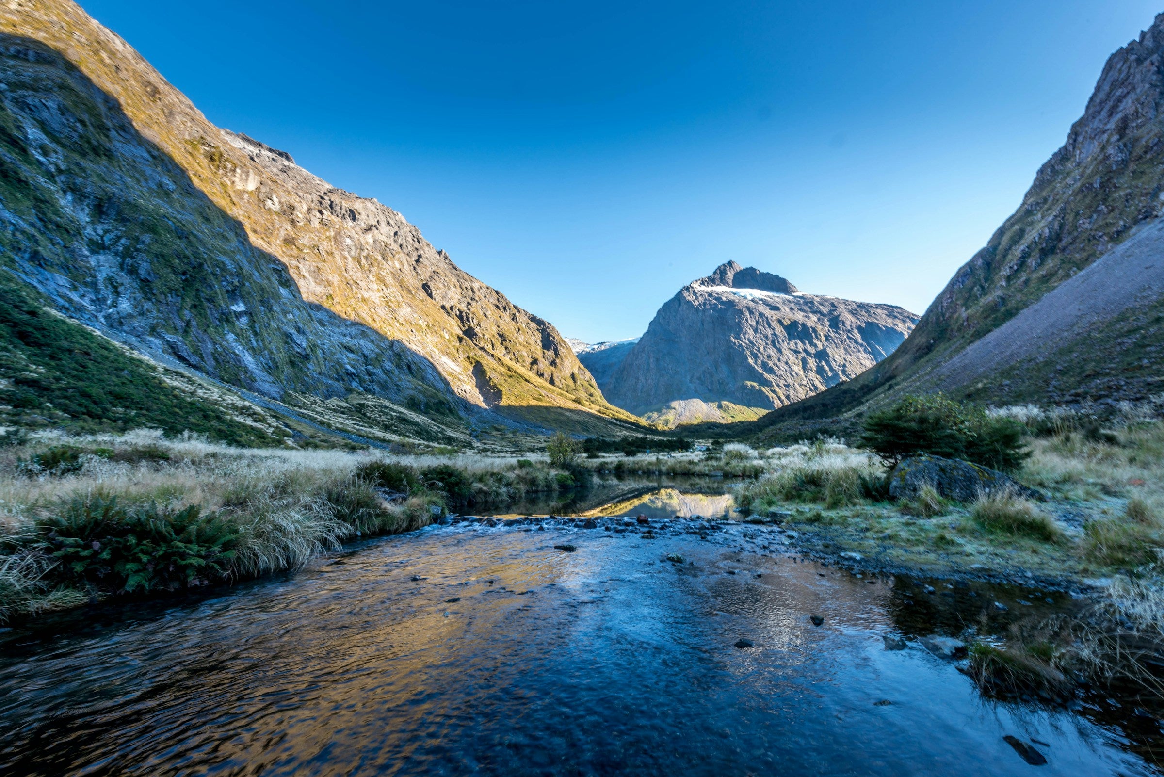 Good Time to Travel to New Zealand: Month-by-Month