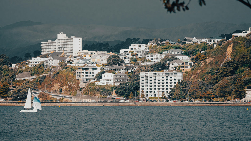 New Zealand Digital Nomad Visa: Options & How to Stay