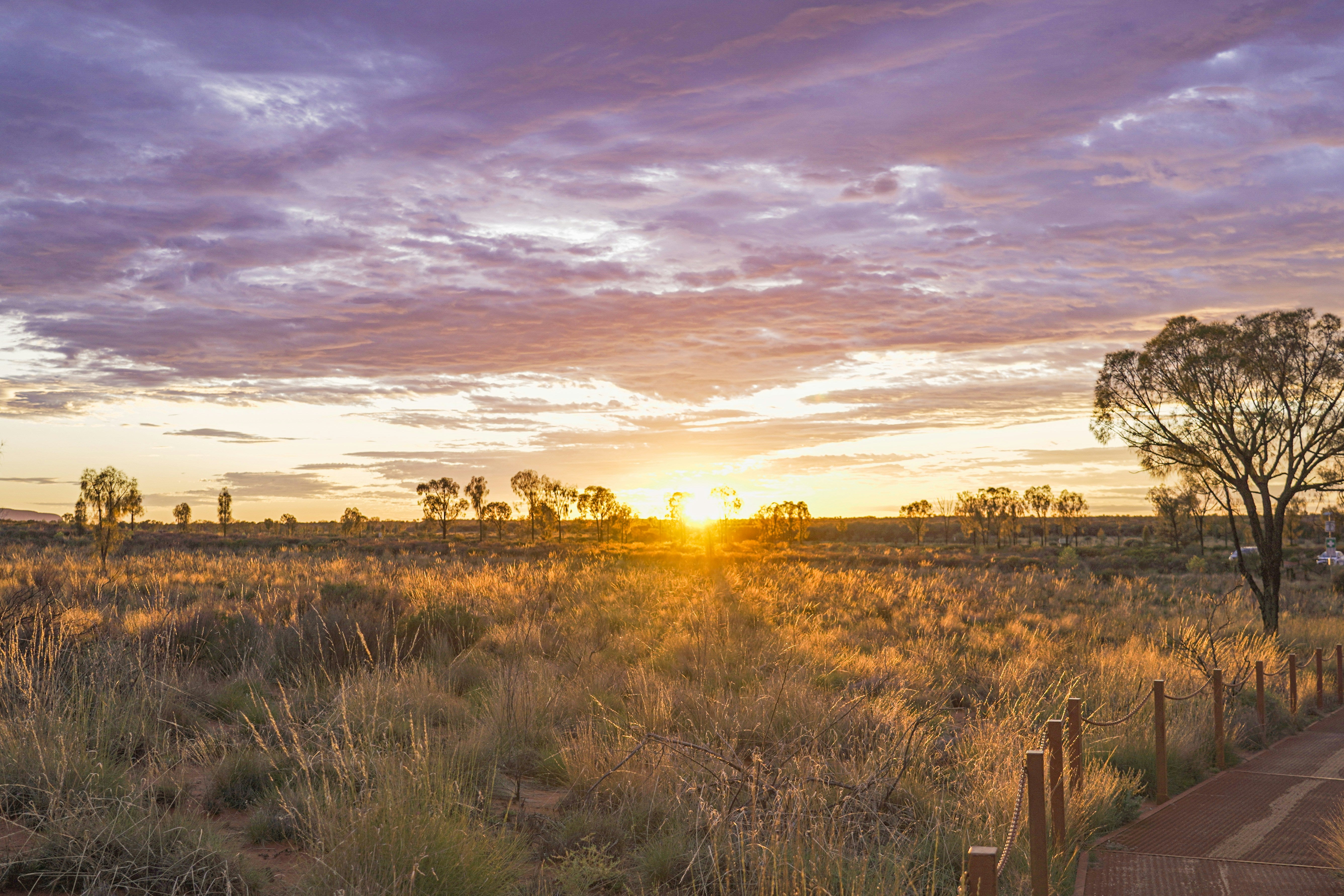 Australia Travel Guide: Itineraries, Tips & Must-See Spots