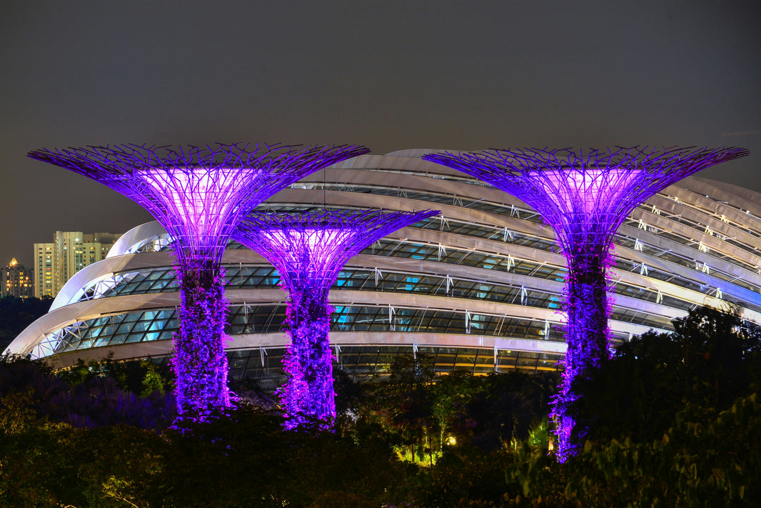 Singapore SIM Card for Tourists: eSIM vs Prepaid SIM