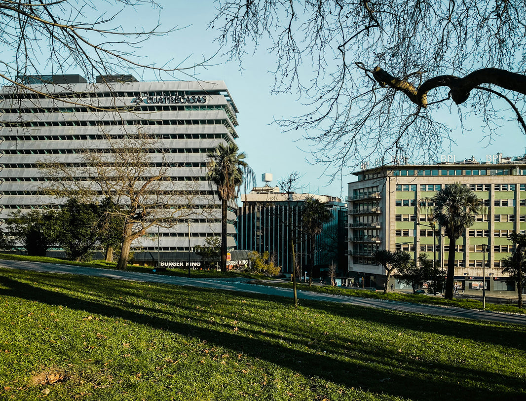 Best Time to Visit Portugal: Seasons, Weather & Crowds