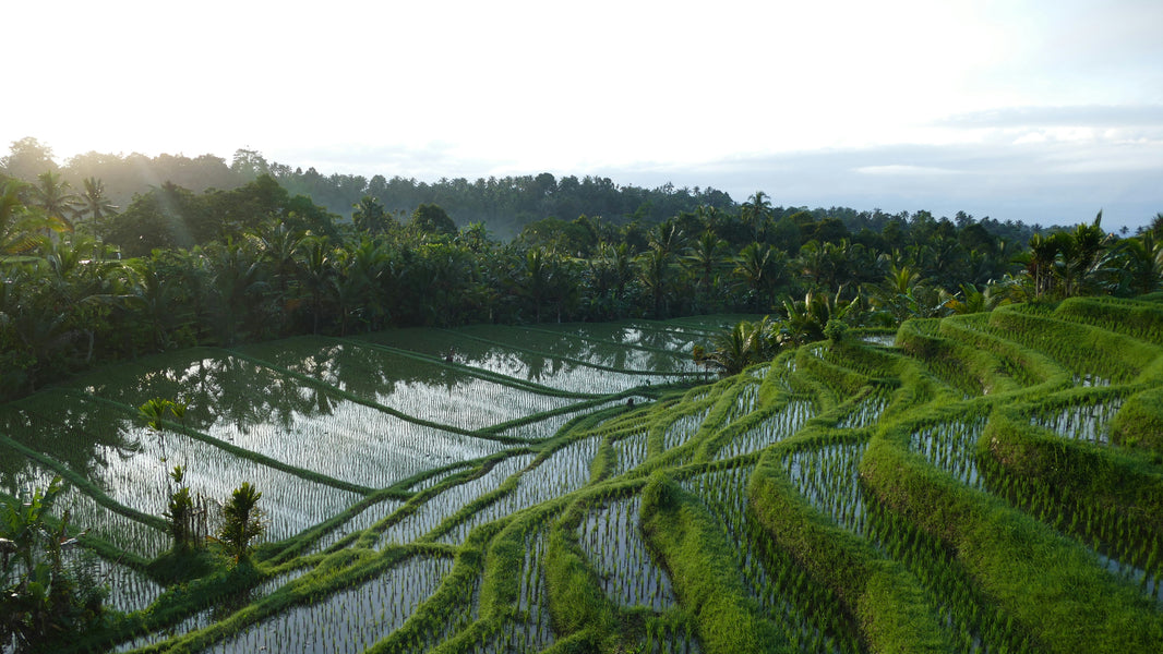 Tour Packages to Bali, Indonesia: Best Itineraries