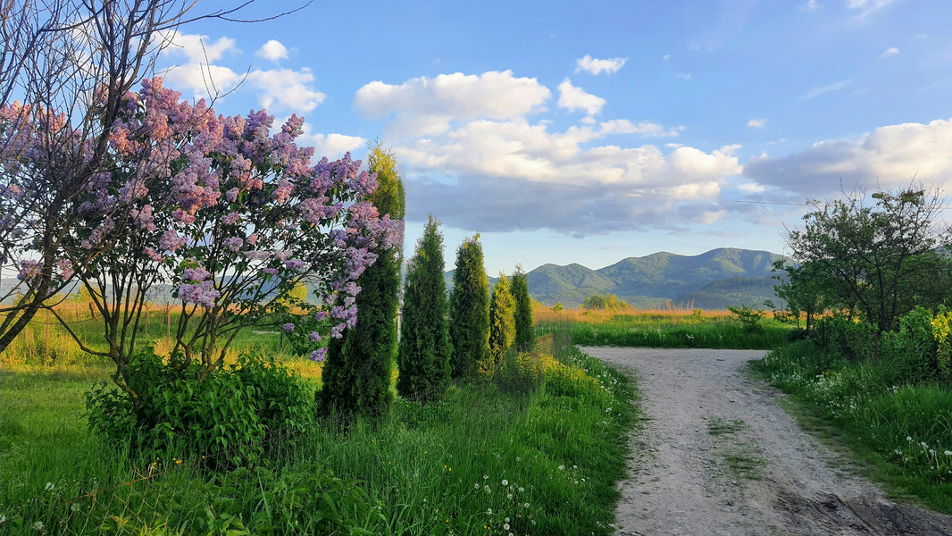 Best Places to Travel in May (Weather, Events, Value)