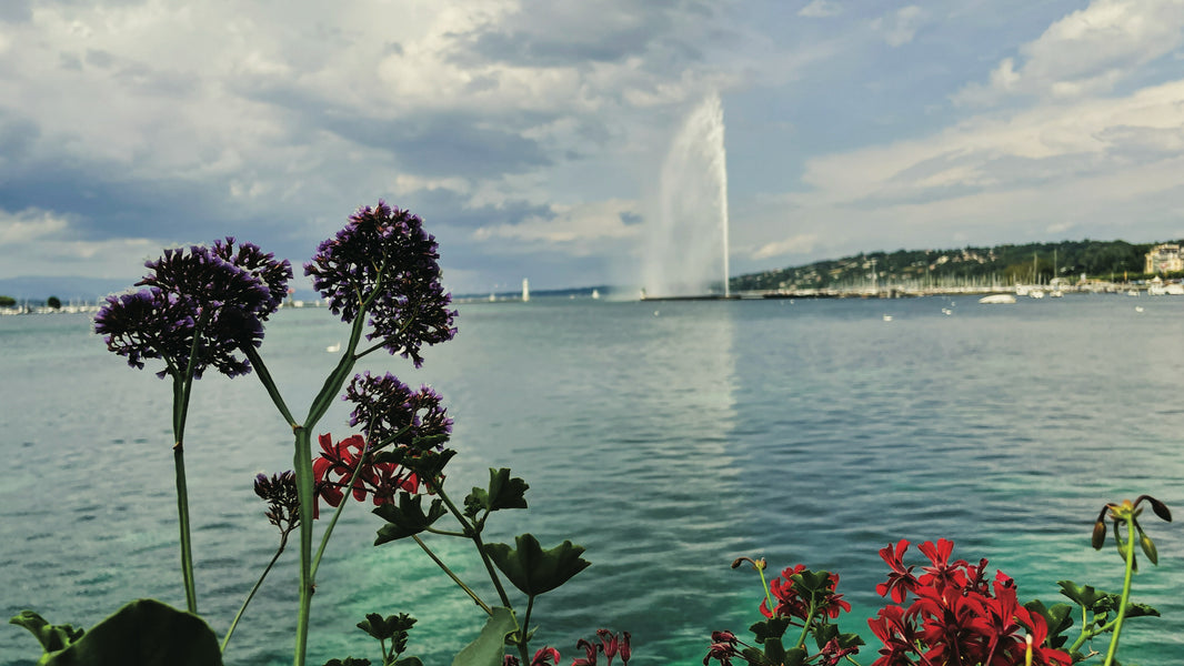 Switzerland Cost of Living Index: Cities, Costs & Tips
