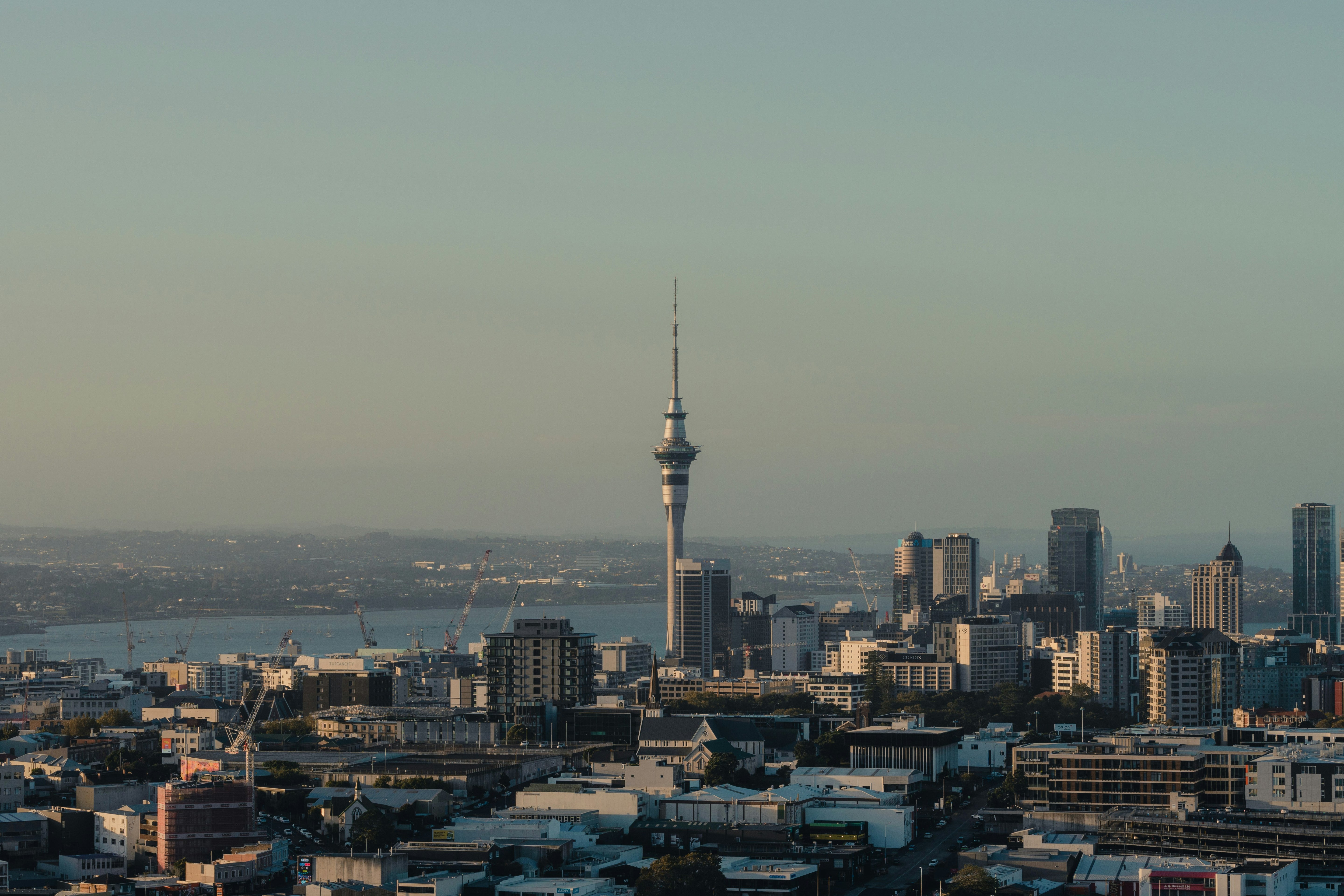Best eSIM for New Zealand (2026): Plans & Coverage
