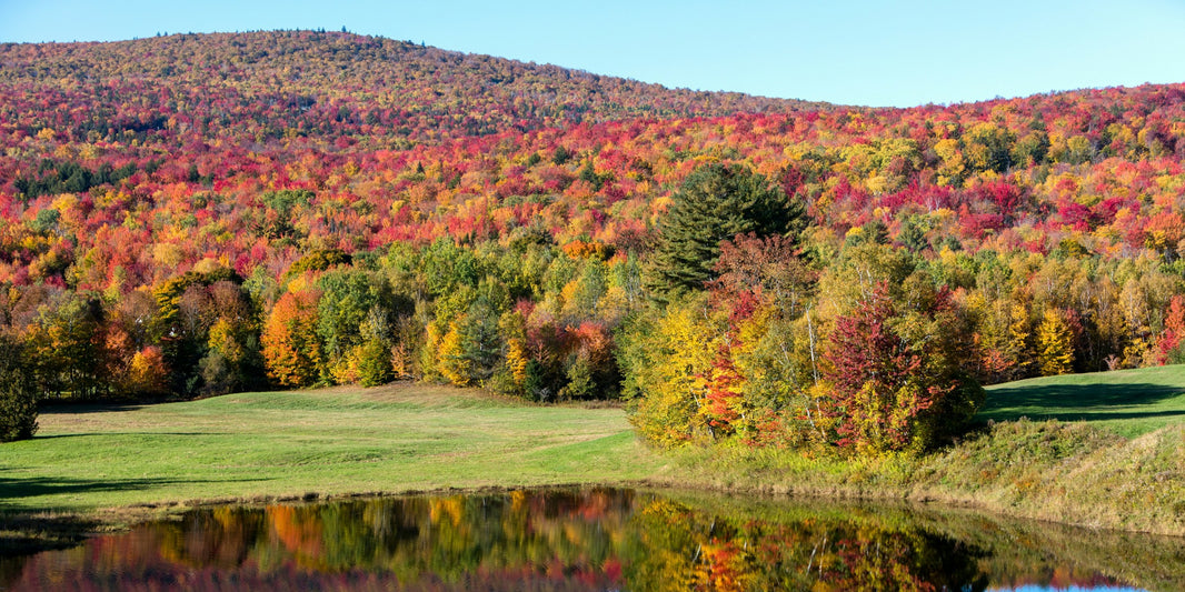 Best Time to Go to Canada: Month-by-Month Guide
