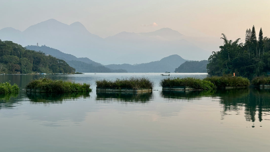 Things to Do in Taiwan: Top Sights, Food & Nature