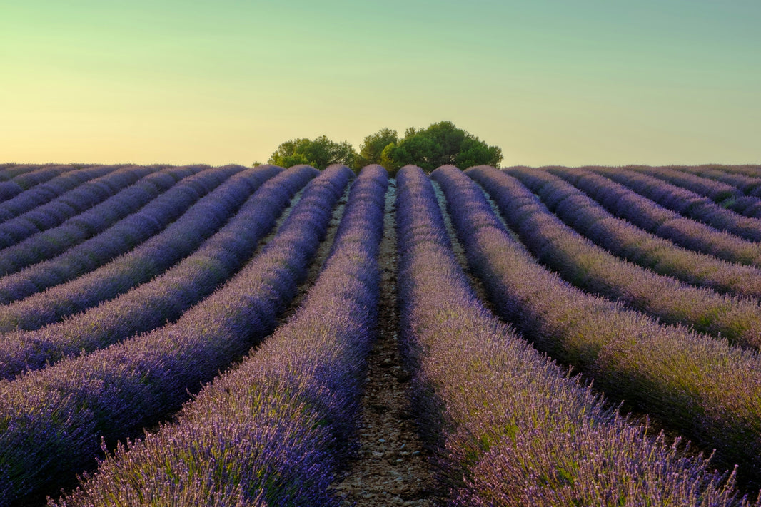 France Trip Guide: Itineraries, Tips & Must-See Sights