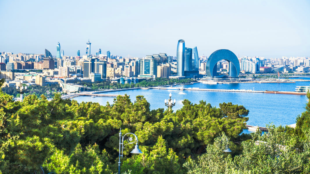 Oman Airlines: Booking, Check-in, Baggage & Travel Tips