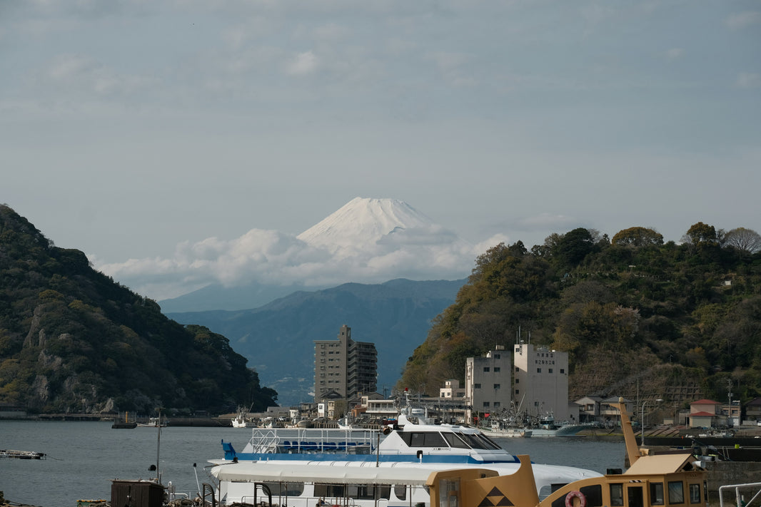 Cruises from Australia to Japan: Routes, Seasons & Tips