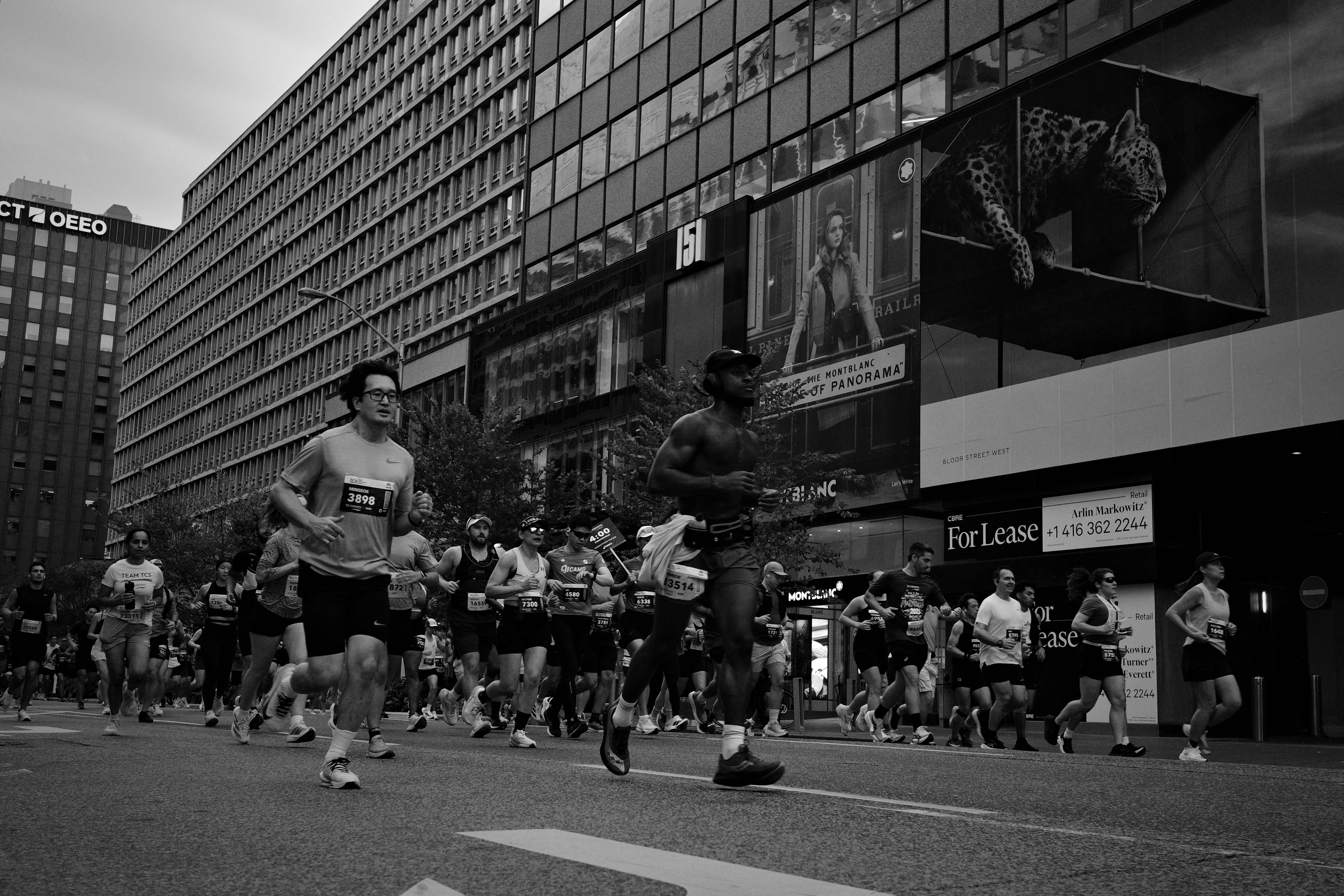Half Marathon 2026: Race Calendar, Training & Travel Tips