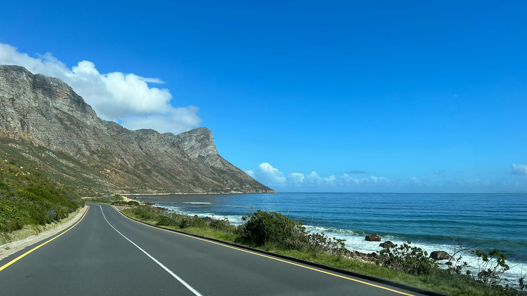 Best Time to Travel to South Africa (Month-by-Month)