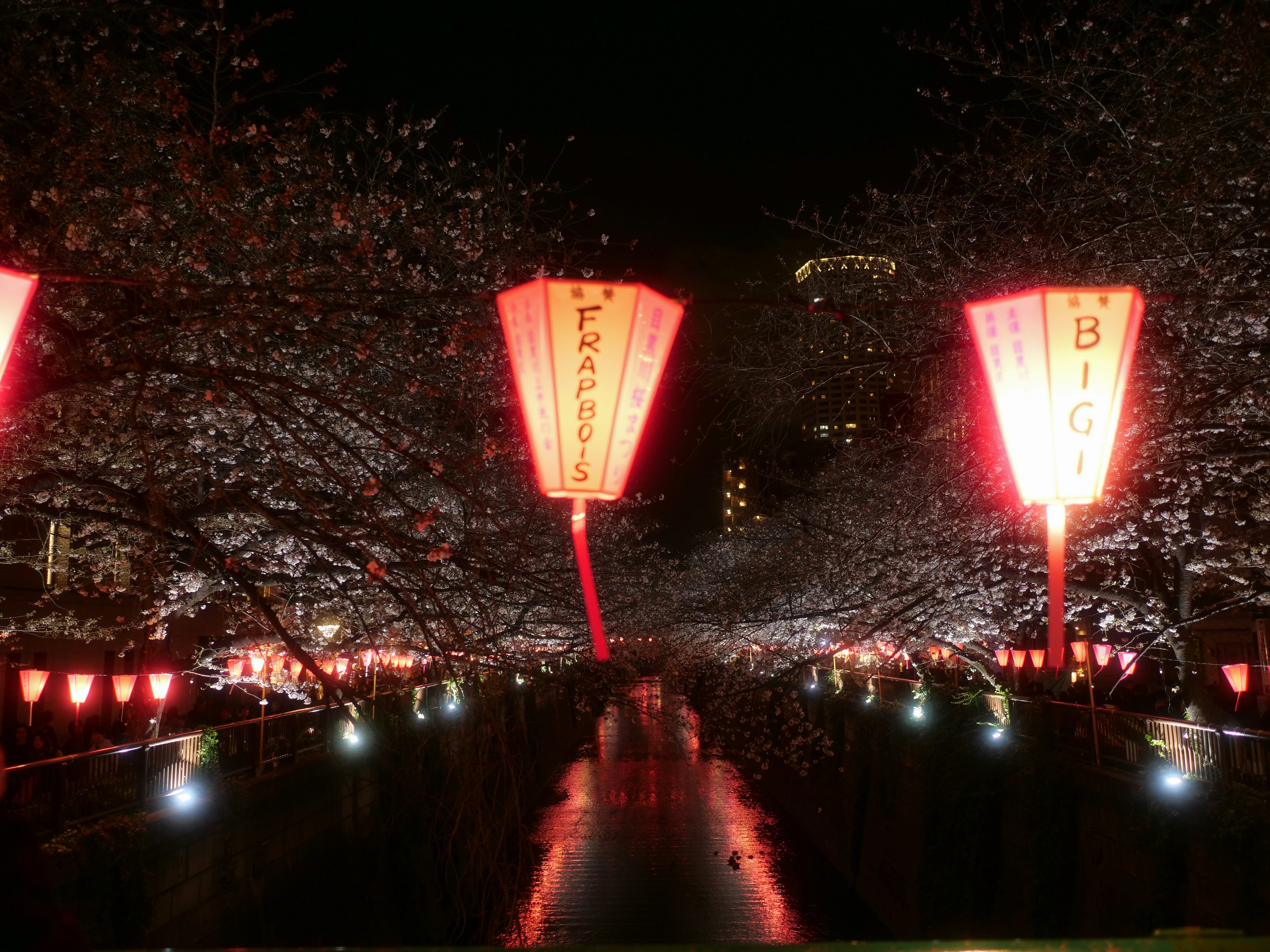 Best Time to Visit Japan: Seasons, Costs & Crowds