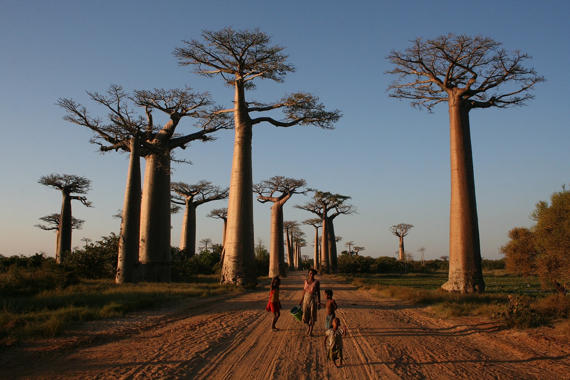 Madagascar