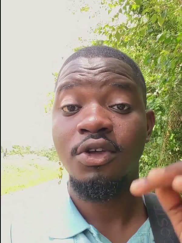 ZetSIM creator’s video review